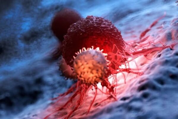 Oncogenética é uma importante aliada na prevenção do câncer oncogenetica e uma importante aliada na prevencao do cancer