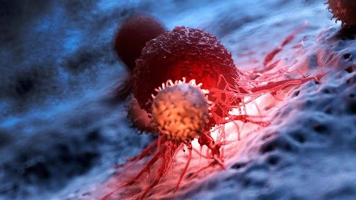 oncogenetica e uma importante aliada na prevencao do cancer