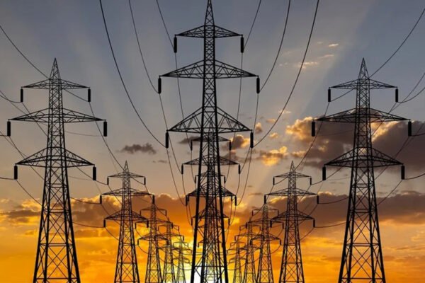 vektor energia realiza webinar sobre futuro dos encargos setoriais de energia