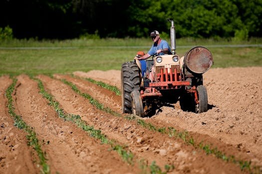 A farmer driving a tractor plowing rows in a rural North Carolina field on a sunny day.